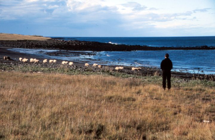 Snæfellsnes Halbinsel