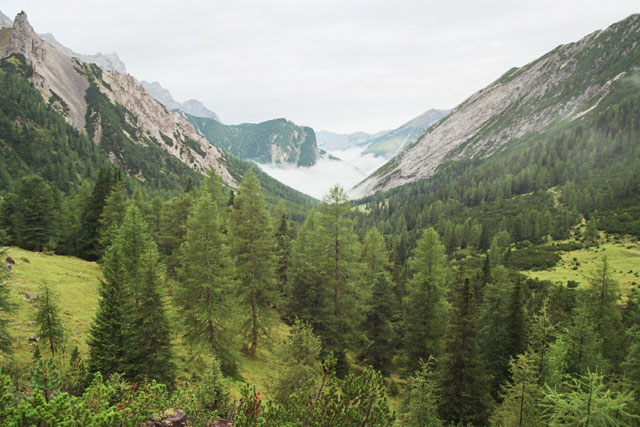 Blick vom Halleranger