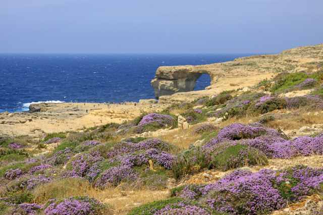 Azure Window