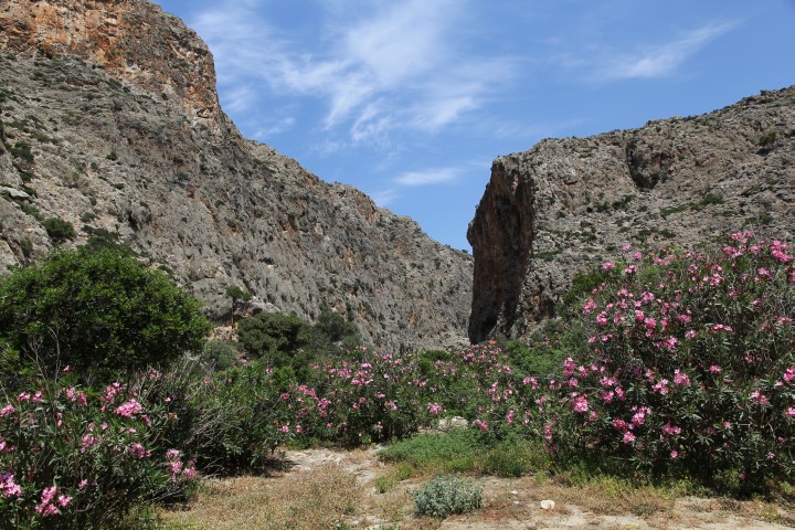 Schlucht 