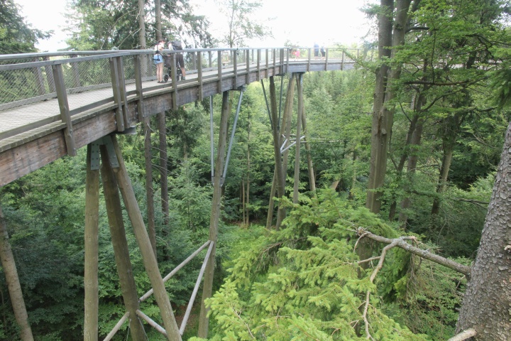 Baumwipfelpfad Riesengebirge