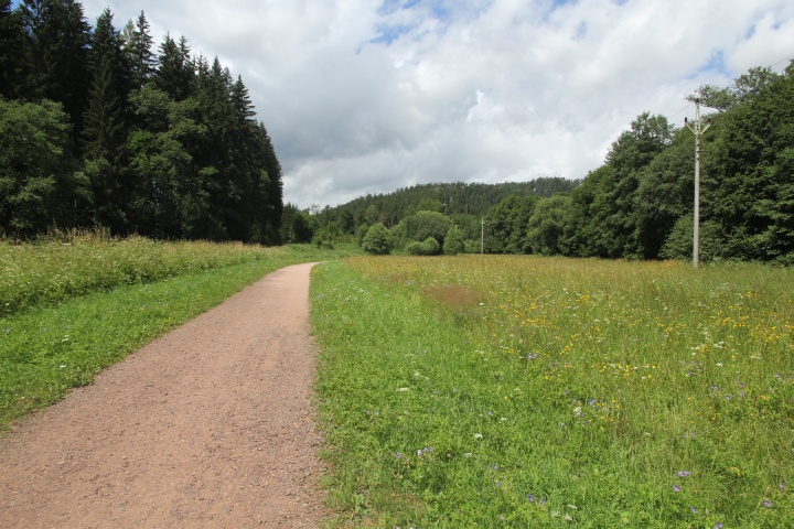 Spaziergang Skalní Mlýn