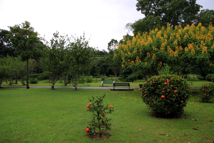 Botanischer Garten