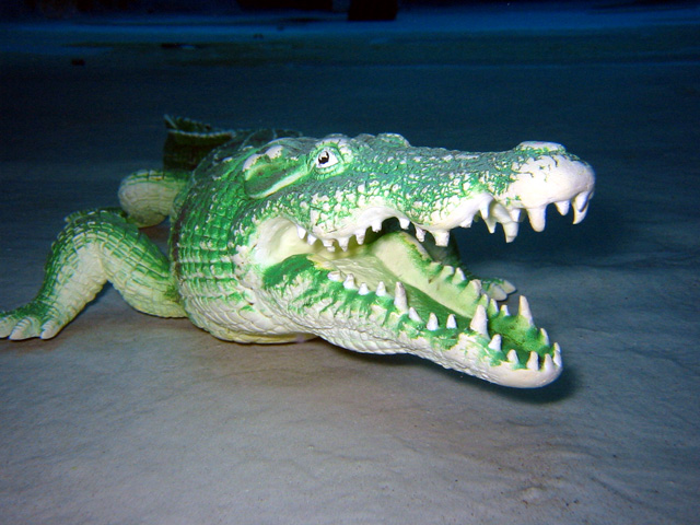 Chlorwasserkrokodile