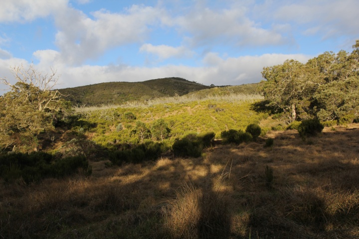 Blick zum Roche Ecrite