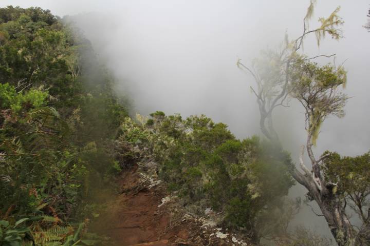 Abhang im Nebel