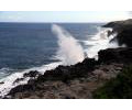 [Blowholes an der Westküste]