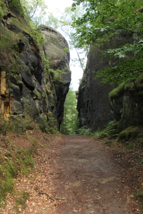 Schrammsteinweg